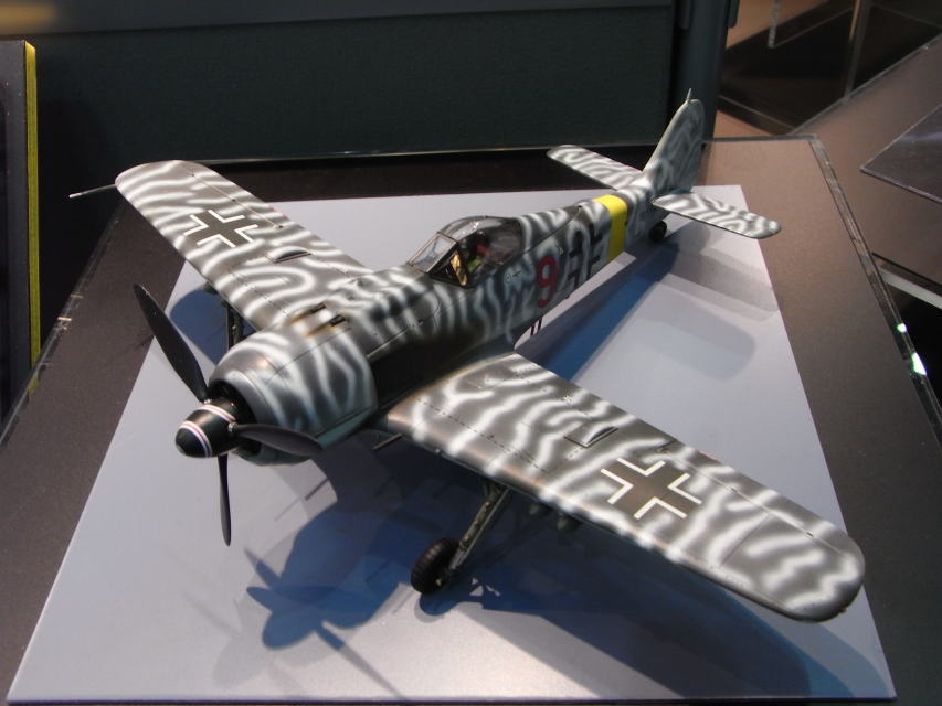 TAMIYA 1/48 Fw190F-8/9