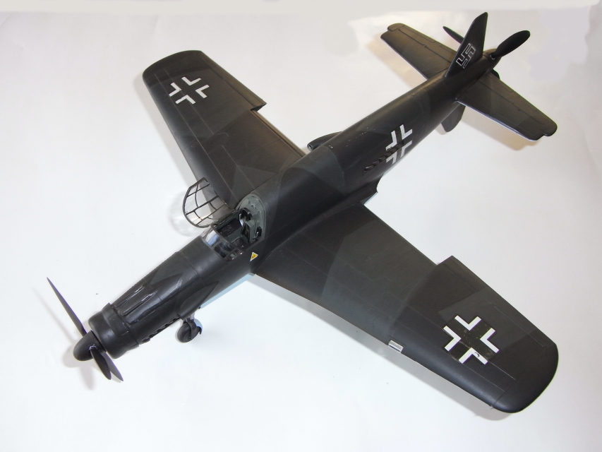 MONOGRAM  1/48 Do335