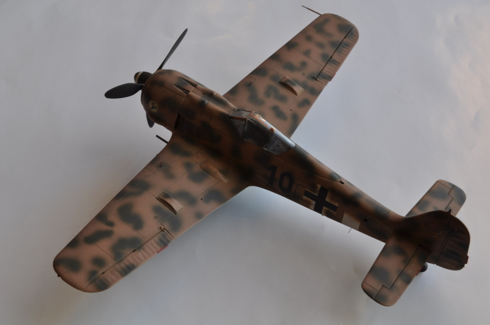 TAMIYA 1/48 Focke Wulf FW190-F8