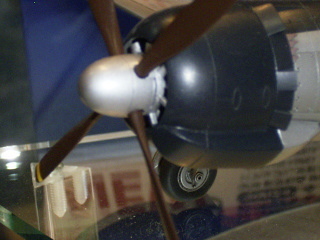 HASEGAWA 1/48 SAIUN (MYRT)