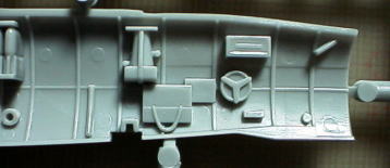 HASEGAWA 1/48 SAIUN (MYRT)