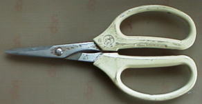 scissors